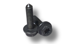 Гвинт (N91108701)