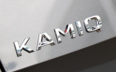 Эмблема (6588536872ZZ)