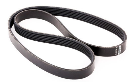 Пас генератора полiклиновий (036145933AJ) 1