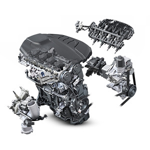 /files/sections/145_img.jpg 145